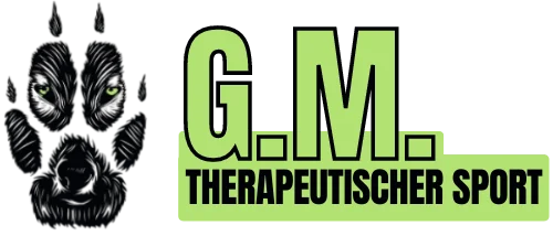 Logo Gökhan Meric - Diplomierter Boxtherapeut