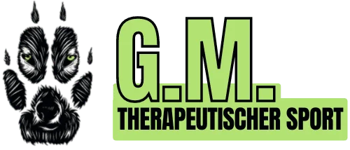 Logo Gökhan Meric - Diplomierter Boxtherapeut